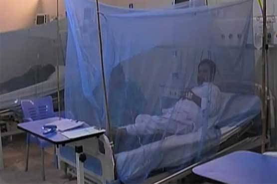 پنجاب میں ڈینگی بے قابو، مریضوں کی تعداد ڈھائی ہزار سے تجاوز کر گئی