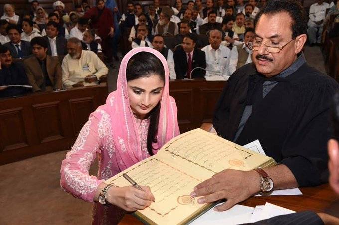 پنجاب اسمبلی میں ن لیگی اراکین قائمہ کمیٹیوں نے استعفیٰ دے دیا
