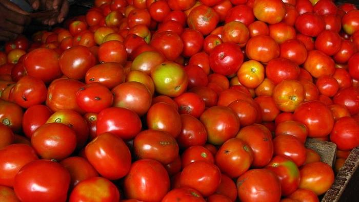 ٹماٹر کے بحران کے پیش نظر ایران سے ٹماٹروں کی درآمد شروع ہو گئی