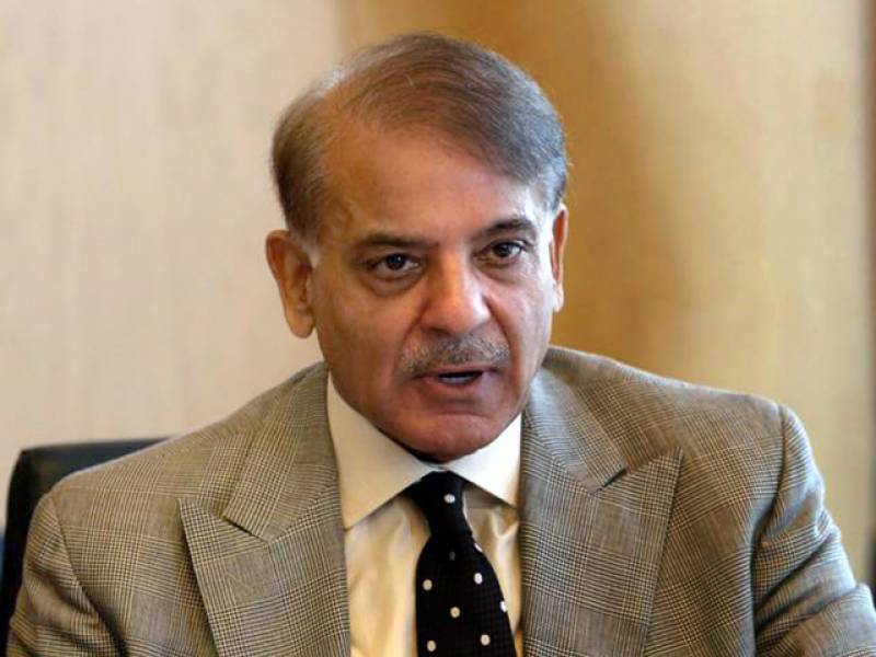 آج نواز شریف کا ڈاکٹر سے پہلا اپائنٹمنٹ ہے، شہباز شریف