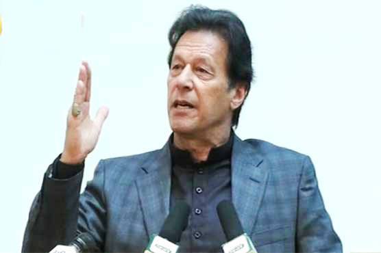 پورا خاندان سیاست میں آ جاتا ہے جو جمہوریت کی نفی ہے، وزیراعظم