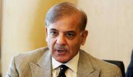 رانا ثنا اللہ کی ضمانت ثبوت ہے کہ ان پر جھوٹا مقدمہ بنایا گیا ، شہباز شریف 
