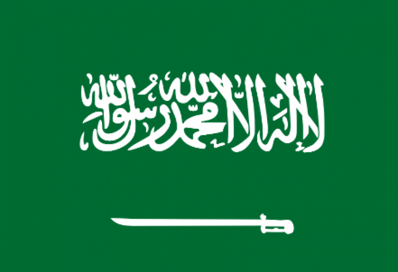سعودی عرب میں ریکارڈ تعداد میں پاکستانیوں کو پھانسی