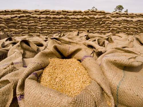 اقتصادی رابطہ کمیٹی کا اجلاس، 3 لاکھ ٹن گندم درآمد کرنے کی اجازت
