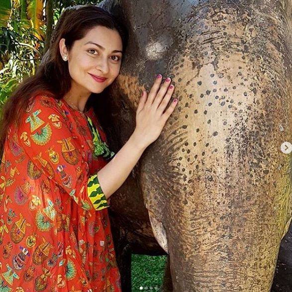 خوبصورت مقامات دیکھنے کیلئے اپنی مصروفیات سے ضرور وقت نکالتی ہوں ‘ جاناں ملک