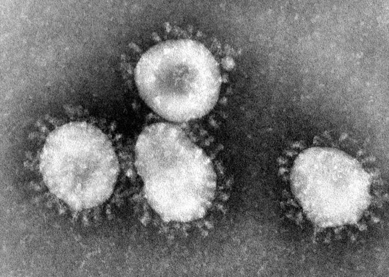 چین سے پھیلنے والا خطرناک وائرس کئی ممالک میں پہنچ گیا