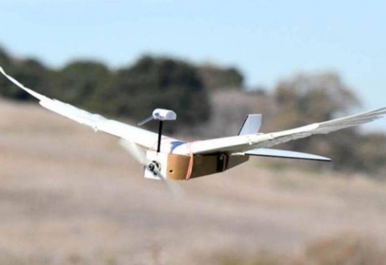 بازو موڑ کر پرواز کرنے والا دنیا کا پہلا کبوترروبوٹ تیار
