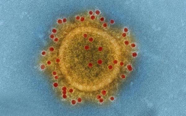 کرونا وائرس سے بچاو کیلئے حکومتی اقدامات کیسے ہیں؟ ڈی جی آئی ایس پی آر نے بتادیا 
