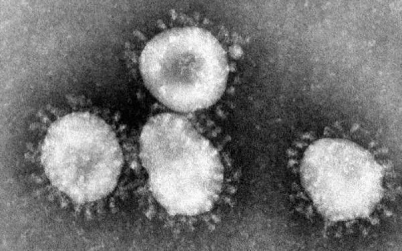 بھارت میں کرونا وائرس پھیل گیا ،کتنے افراد اب تک شکار ہو چکے ؟
