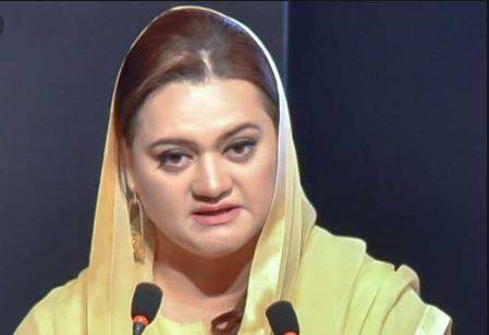 شہبازشریف کی ہدایت پر پارٹی وفد کراچی جارہا ہے، مریم اور نگزیب 
