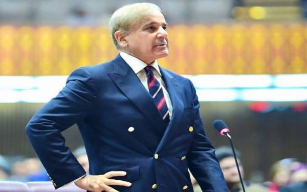  ڈینگی کو قابو کرنے والے شہباز شریف بھی میدان میں آگئے 