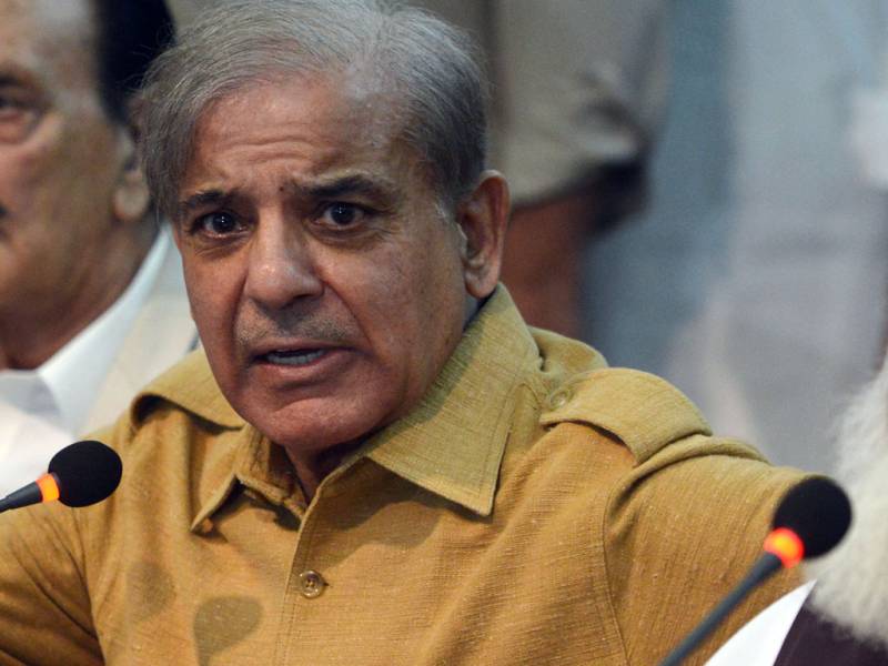 شاہد خاقان عباسی کو کچھ ہوا تو عمران نیازی ذمہ دار ہوں گے، شہباز شریف