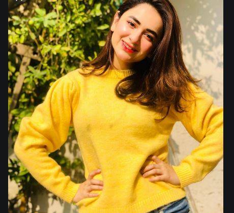 اداکارہ یمنیٰ زیدی نے نظم پڑھ کر موجودہ صورتحال کی عکاسی کردی