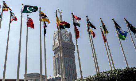 او آئی سی نے مقبوضہ کشمیرمیں نئے ڈومیسائل قانون کو مسترد کردیا