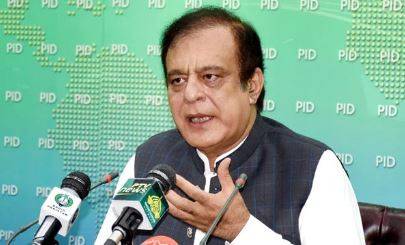 حکومت چینی ،گندم اوربجلی سکینڈل میں ملوث لوگوں کے خلاف کارروائی کرے گی:شبلی فراز