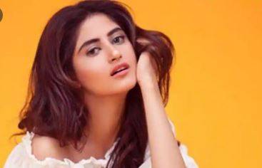 پیچھے مڑ کر دیکھنے کی عادت نہیں ہے، سجل علی