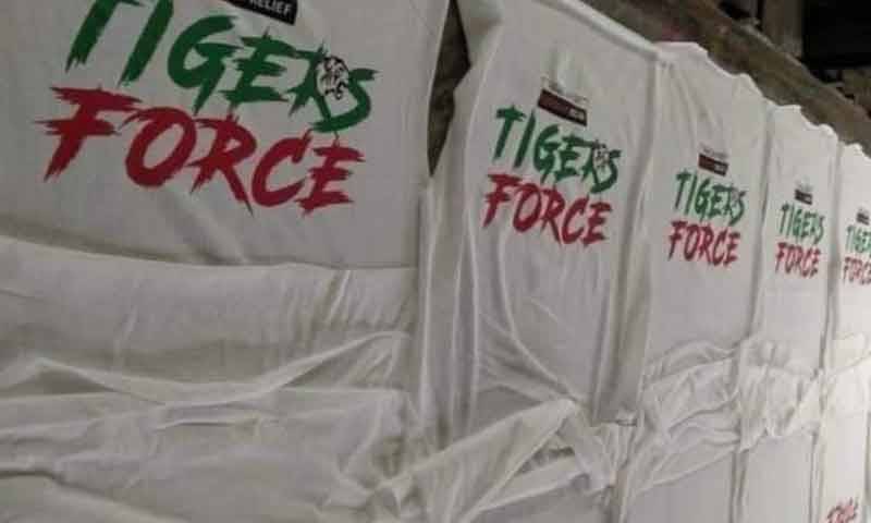 پاکستان کی ٹائیگر فورس کو عالمی سطح پر بھی پذیرائی 