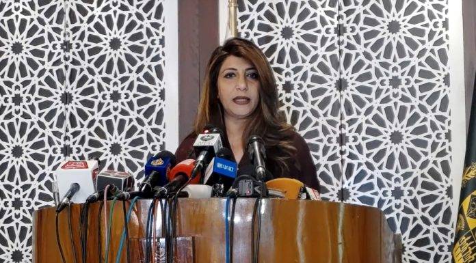 'کالعدم تحریک کی حمایت کر کے بھارت افغان امن عمل کو متاثر کرنا چاہتا ہے'