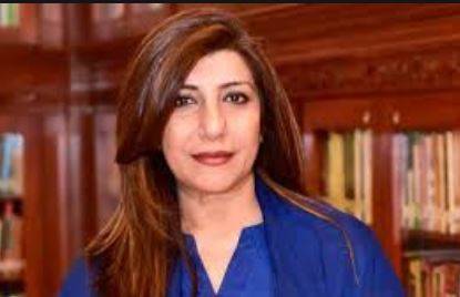 بھارت کو آئندہ بھی اپنے عزائم میں ناکامی ہو گی، ترجمان دفتر خارجہ
