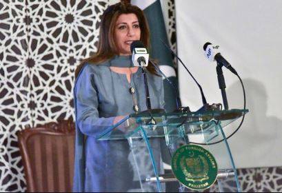 پاکستان سے متعلق بھارتی وزیر دفاع کا بیان ناقابل علاج جنون کا ثبوت ہے، دفتر خارجہ