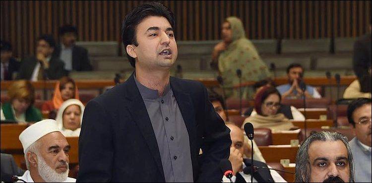 بلاول بھٹو کی سیاست صرف بیانات تک محدود ہے، مراد سعید