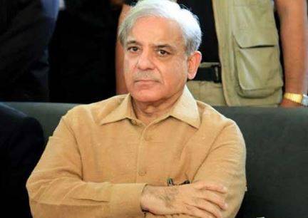 کورونا کے بجائے وزراء ایک دوسرے سے لڑرہے ہیں، شہباز شریف
