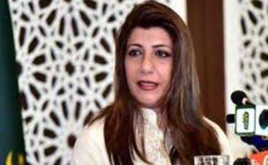 پاکستان نے گرے لسٹ میں شمولیت کی بھارتی خبروں کو گمراہ کن قرار دے دیا