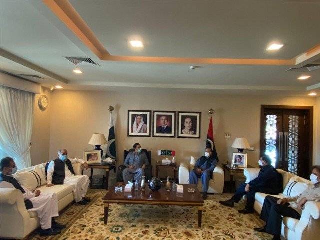 پیپلز پارٹی اور ن لیگ کا حکومت کیخلاف جوائنٹ اپوزیشن ایکشن کمیٹی بنانے کا اعلان