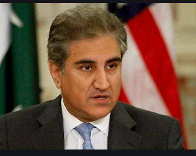 یوم استحصال کے موقع پر بھارت کو واضح پیغام دیں گے، وزیر خارجہ 