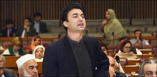 رواں سال پبلک پرائیوٹ پارٹنر شپ میں 5 منصوبوں پر کام شروع ہو گا، مراد سعید 