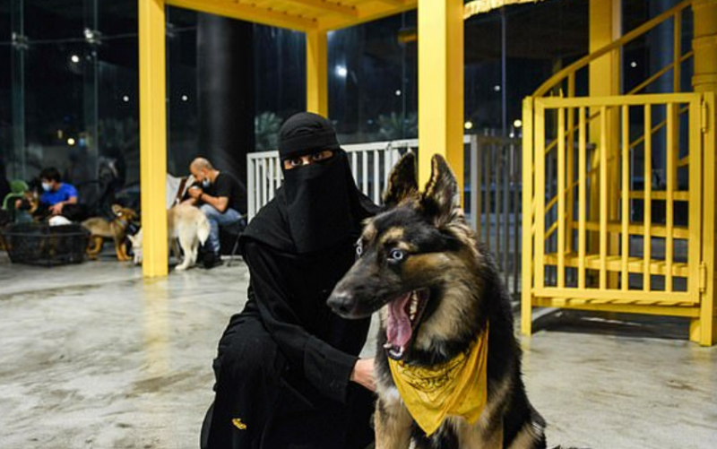 سعودی عرب میں کتو ں کیلئے کیفے  