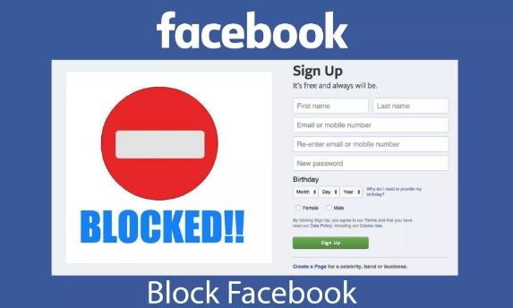 نیوزی لینڈ میں الیکشن سے قبل   سیاسی جماعت کا فیس بک پیج  بند کردیا گیا