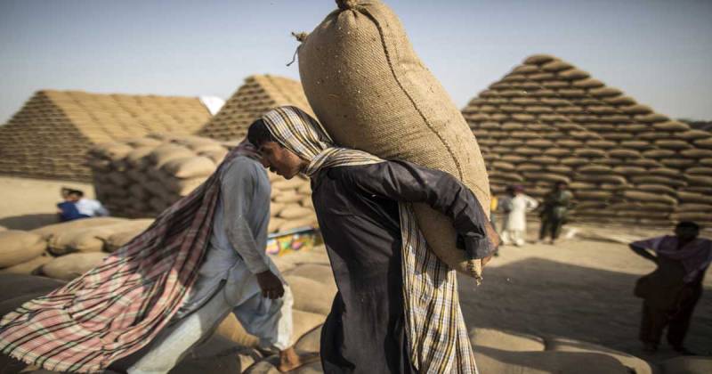 Wheat support price fixed at Rs 2000 