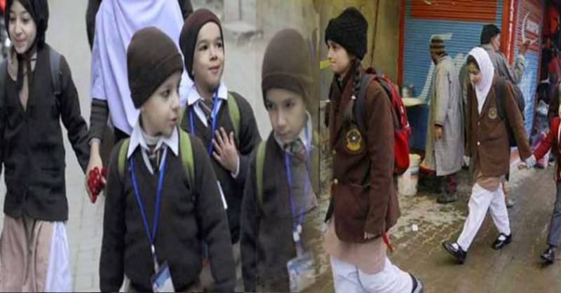 Will there be winter holidays in educational institutions or not? The most important news has come