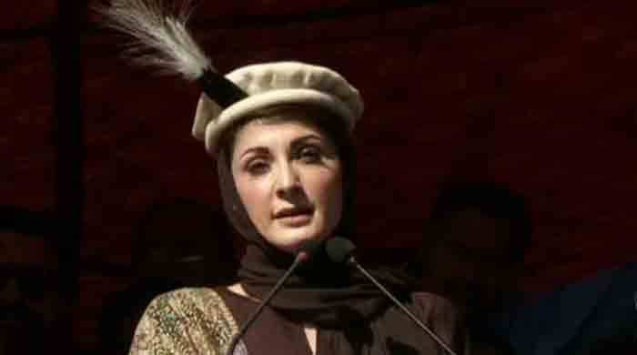 Pakistan,Maryam Nawaz,lashes out,PM Imran Khan