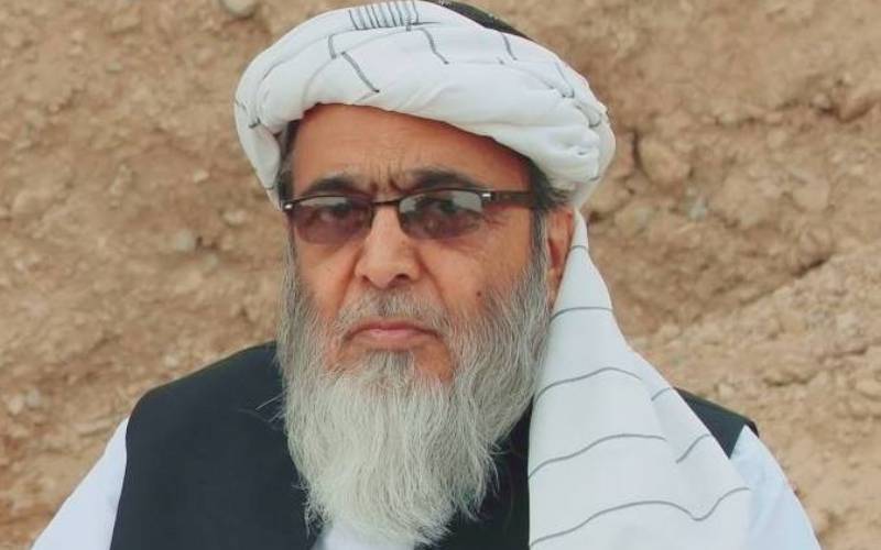Jamiat Ulema-e-Islam has removed Hafiz Hussain Ahmed from the post of party spokesman