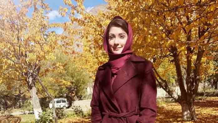 Pakistan, Maryam Nawaz,PTI,Army,Imran Khan