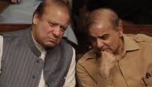  بڑے بھائی کی چھوٹے بھائی کو ہدایت 