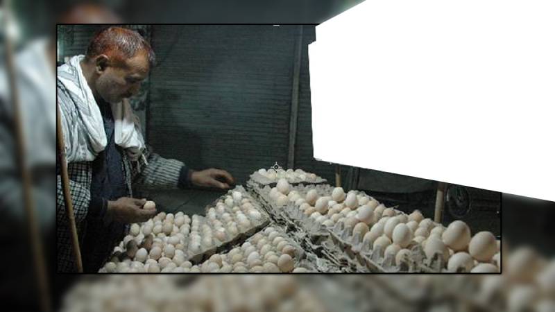 پشاور میں دیسی انڈے 300 روپے درجن ملنے لگے 