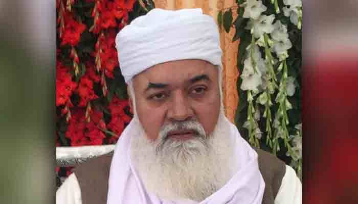 مسلم لیگ (ن) کا حصہ ہوں اور پارٹی میں ہی رہوں گا، جلیل شرقپوری
