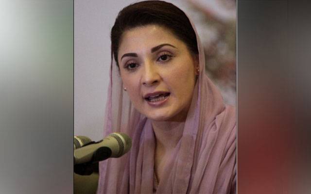 Maryam Nawaz, Shehbaz Sharif, PML-N, political situation, Nawaz Sharif, Hamza Shahbaz