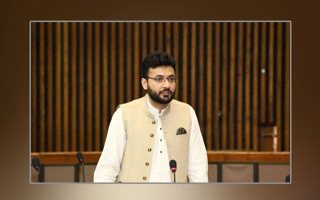 Farrukh Habib, PML-N, PPP, foreign funding cases, PDM, PTI
