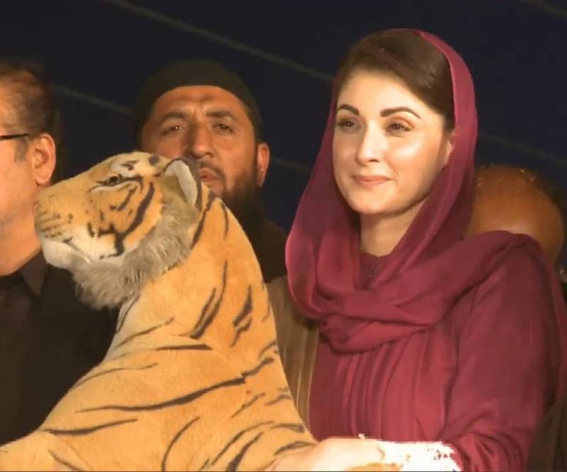 پاکستان کی تاریخ کا سب سے بڑا چور عمران خان ہے: مریم نواز