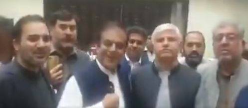 وفاقی وزیرشبلی فراز نے بھی پارٹی گرل کا انداز اپنا لیا 