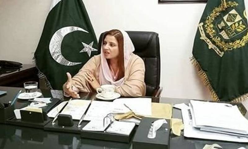 سینیٹ انتخابات میں ووٹ ضائع کرنے کا معاملہ، زرتاج گل وزیر نے نوید قمر اور رانا ثناء اللہ کے الزامات کا جواب دیدیا