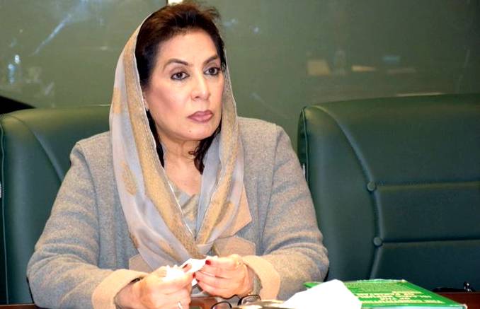 پی ٹی آئی کے اراکین اسمبلی نے ہمارے امیدوار کو ووٹ نہیں دئیے، وزیراعظم معاملے کی تحقیقات کریں: فہمیدہ مرزا 