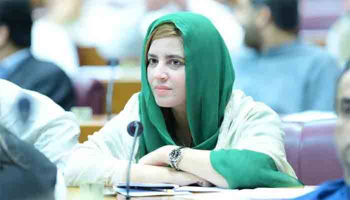 سینیٹ الیکشن میں درست طریقے سے میرا ووٹ کاسٹ ہوا تھا، زرتاج گل