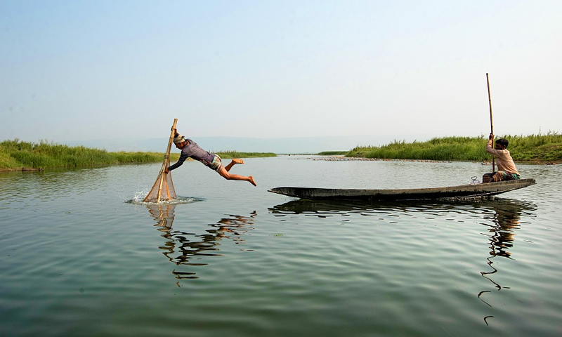 مچھلی پکڑنے کے بنگلادیشی طریقے نےسب کوحیران کردیا 