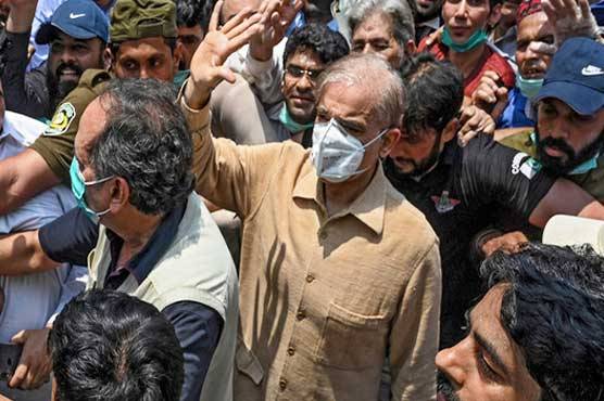 منی لانڈرنگ کیس میں شہباز شریف کی ضمانت منظور