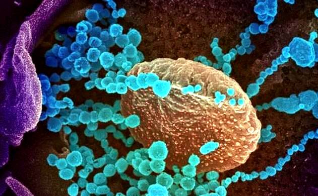 بھارت میں کورونا وائرس اتنی تیزی سے کیوں پھیلا؟ عالمی ادارہ صحت نے بتا دیا